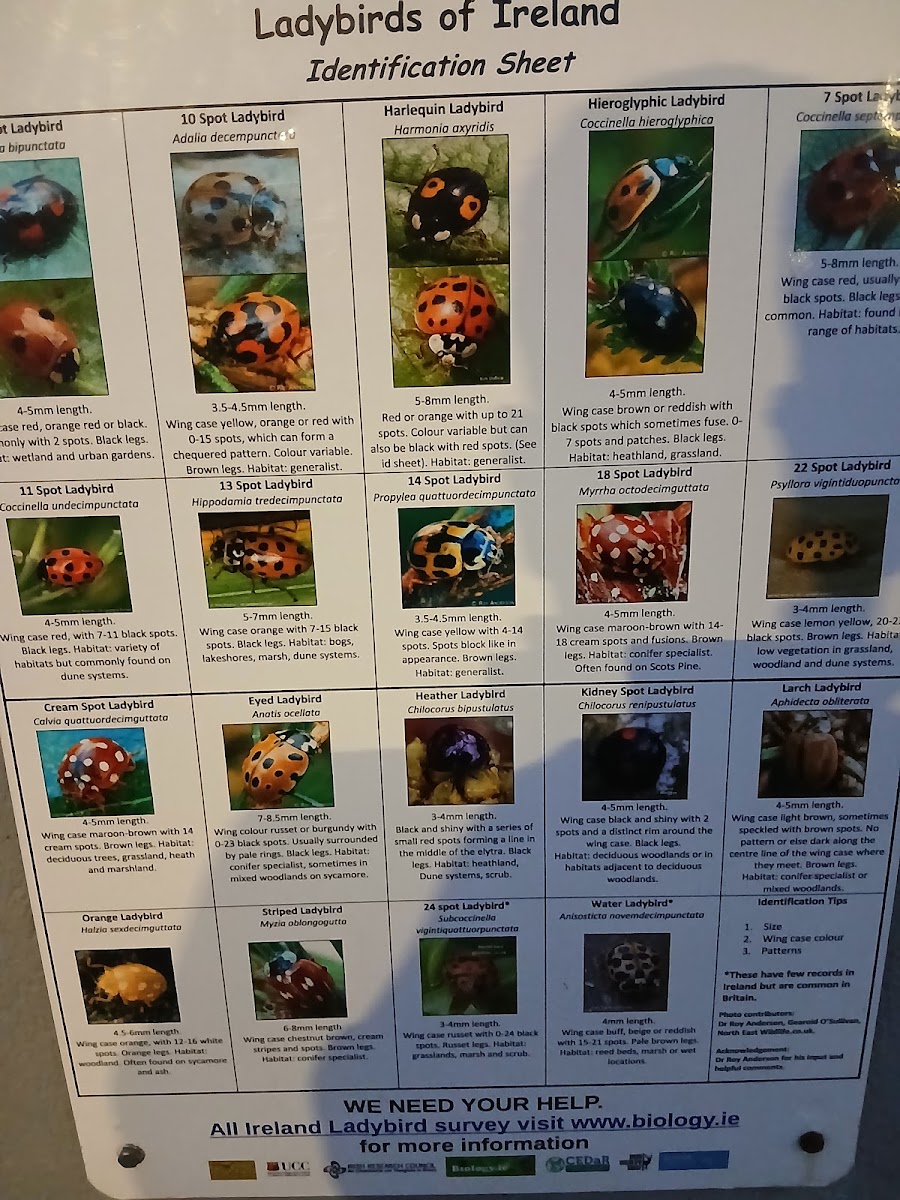 Menu The Heron's Cove Restaurant And B&b-1